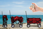 Imagen de Carro Playa Plegable Portatil Acero Zorra Jardin